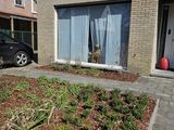Oppas aan huis 30 minuten